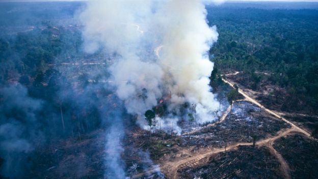 アジアにおける森林の消失は、温室効果ガスの排出量に大きな影響を与えている