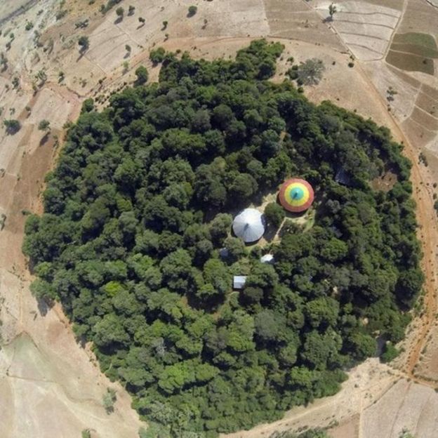 Foto aérea de floresta sagrada na Etiópia