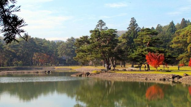 淨土庭園