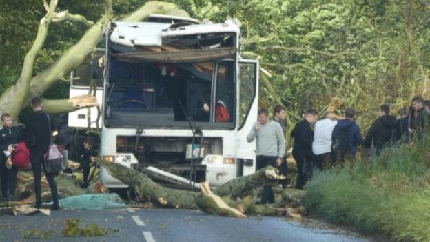 A tree falling on to the coach of the University of Dundee's soccer team