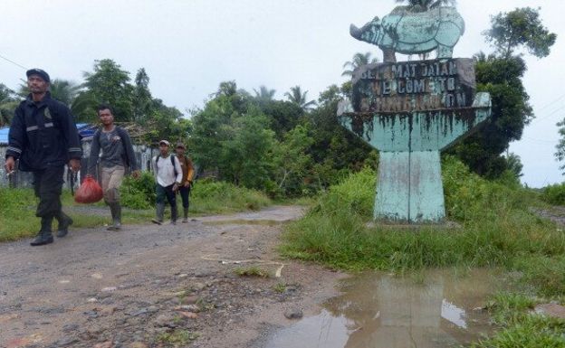 Nasib Badak Jawa Bercula Satu Menghadapi Ancaman Gunung Anak