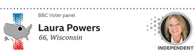 voter panel graphic