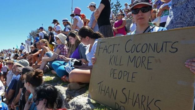 Protesto contra abate de tubarões na costa oeste da Austrália em 2014