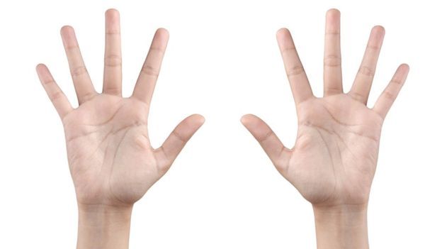 Length of ring and index fingers of women 'linked to sexuality'