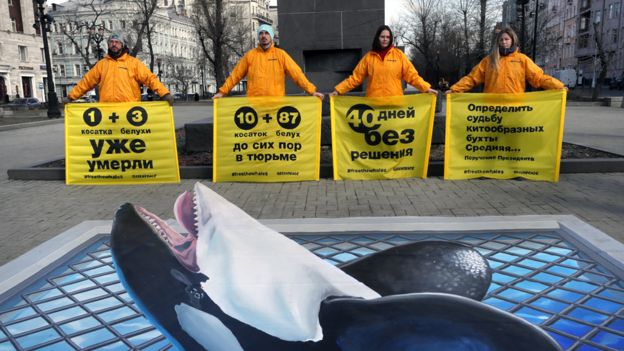 Quatro ativistas seguram cartazes em manifestação em Moscou