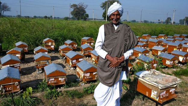 Un apicultor en la India