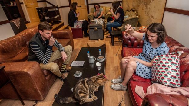 Are cat cafes good for cats? - BBC News