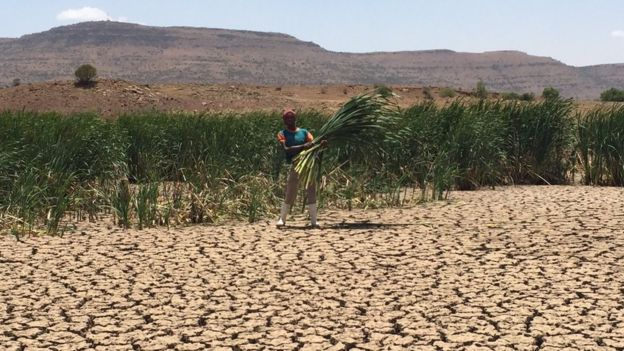 South Africa Grapples With Worst Drought In 30 Years Bbc News