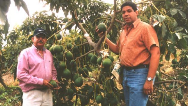 Carlos Antonio Castillo Pimentel con su hijo, Karel Castillo, al lado de un árbol de aguacates de la variedad Carla