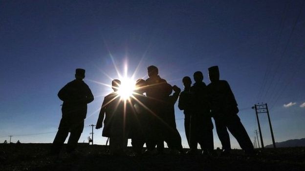 Afghan migrants in Herat province