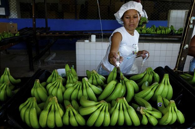 Mercado de banano