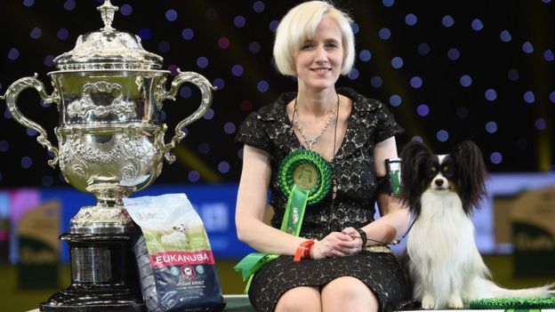 Crufts 2019: Dylan the papillon crowned best in show - BBC News