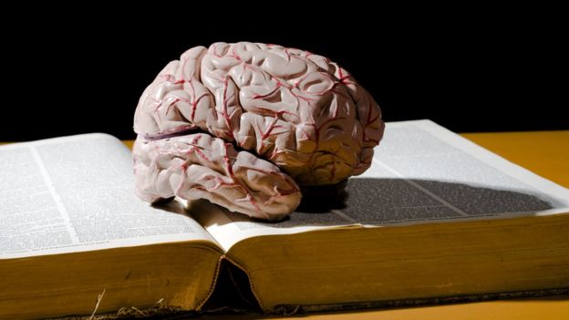 Cerebro sobre un libro.