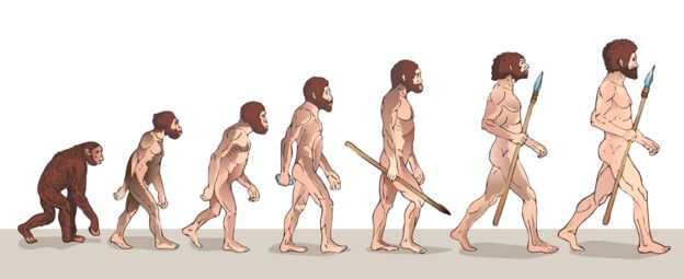Ilustração da evolução