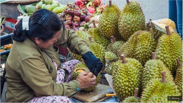 Mulher manuseia durian