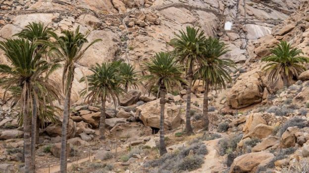 சூழலியல் மீதான போர்: நாம் தெரிந்துகொள்ள வேண்டிய 5 தகவல்கள்