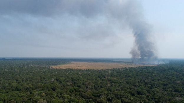 Queimada na Amazônia