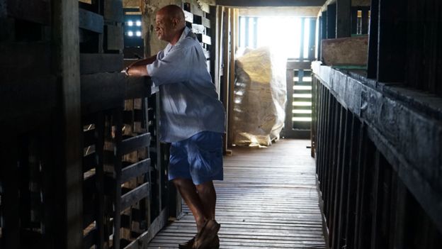 Lennox Francis inside the goat shed