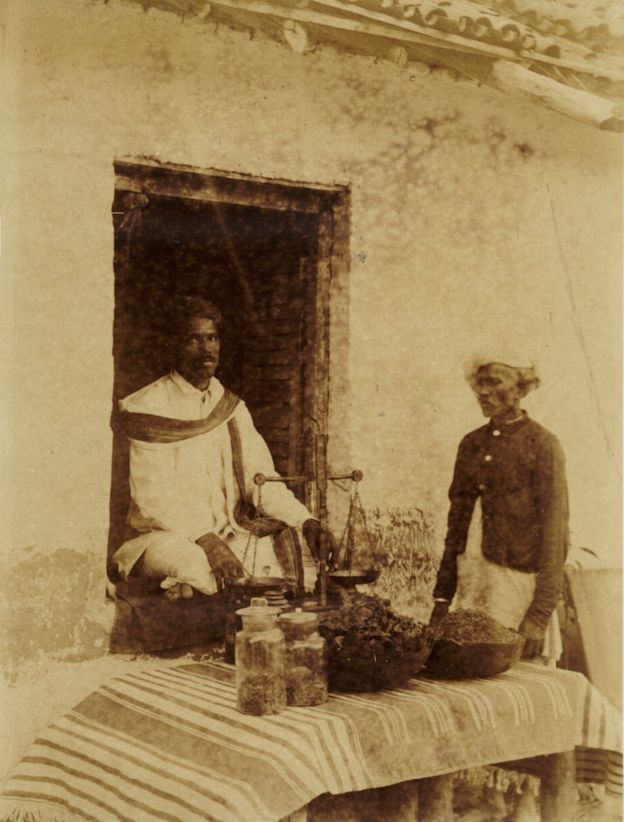 Vendedor de cannabis na Índia, em meados do século 19 (imagem de domínio público)
