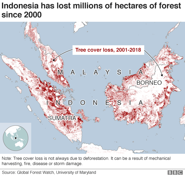 Map showing that Indonesia and the surrounding area has seen million of hectares of tree cover loss since 200