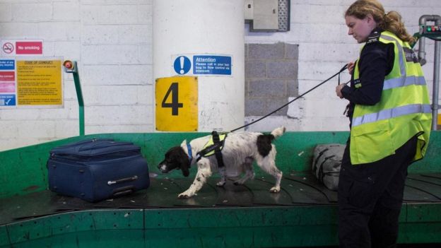 تقنيات مبتكرة لكشف المسافرين الذين يشكلون خطرا في المطارات وعبر الحدود