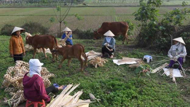 Phụ nữ thường bị phân biệt đối xử trong lao động việc làm, như không được trả công và những công việc trả lương thấp.