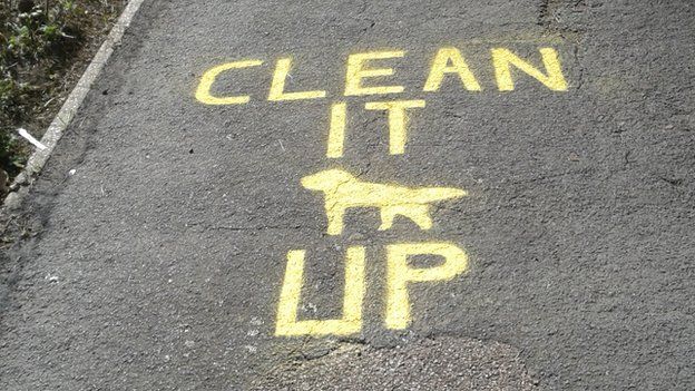 'Clean it up' paint in Leiston
