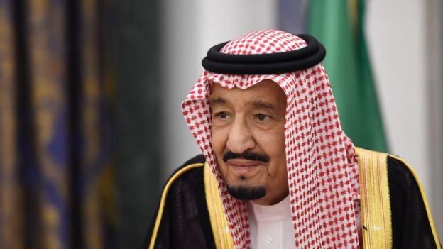 how-many-princes-are-there-in-saudi-arabia-and-how-do-they-influence