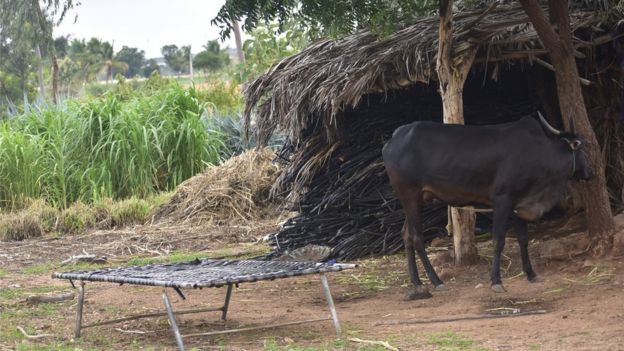 The hut where Mallappa killed himself