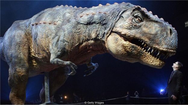 Uzun boyunlu dinozorlar: çeşitleri, açıklaması, yaşam alanı Uzun boyunlu dinozorlar: çeşitleri, açıklaması, yaşam alanı