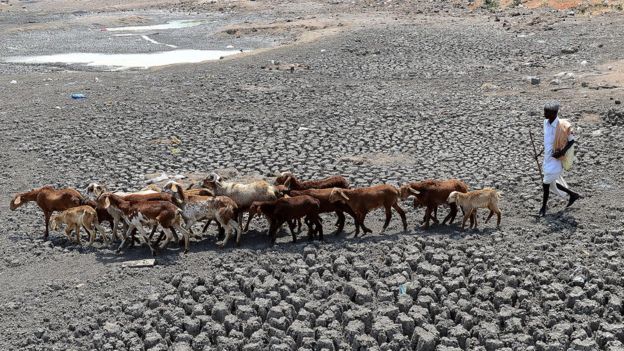 Dry farmland