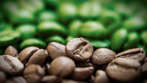 Granos verdes y granos tostados de café