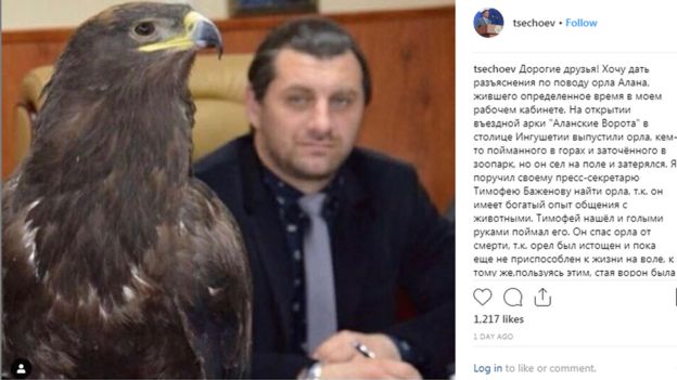 Cənab Seçoyevin həmçinin yaralı qartalın xilas olunmasında rolu olub