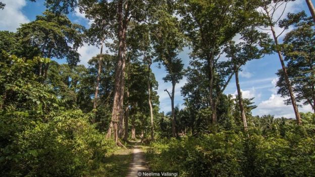 இந்திய பெருங்கடலின் நடுவில் ஒரு பேய் தீவு