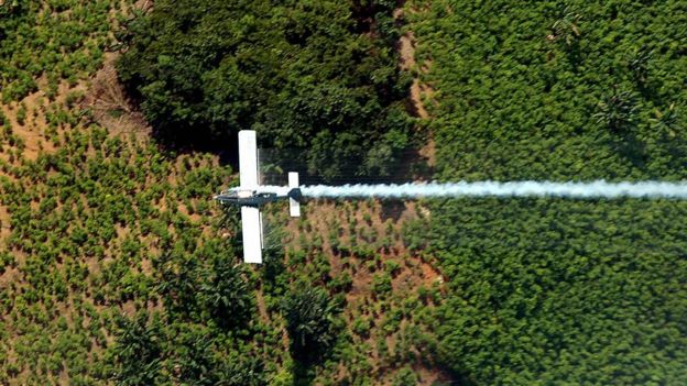 Avión fumiga cultivo ilícito de coca en Colombia