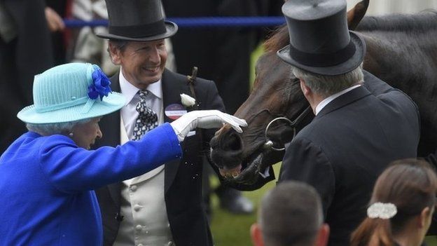 The Queen pats Dartmouth after Royal Ascot win