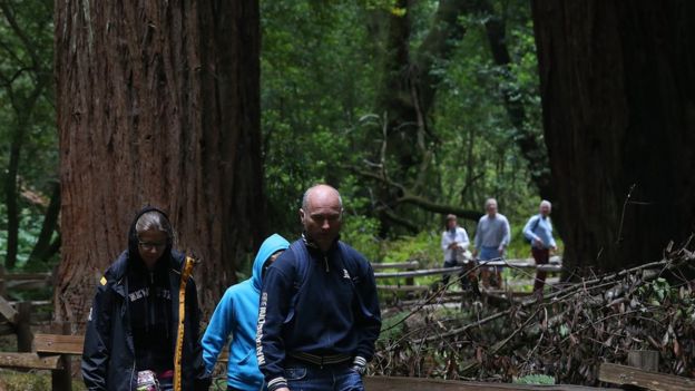 Parque Nacional Redwood