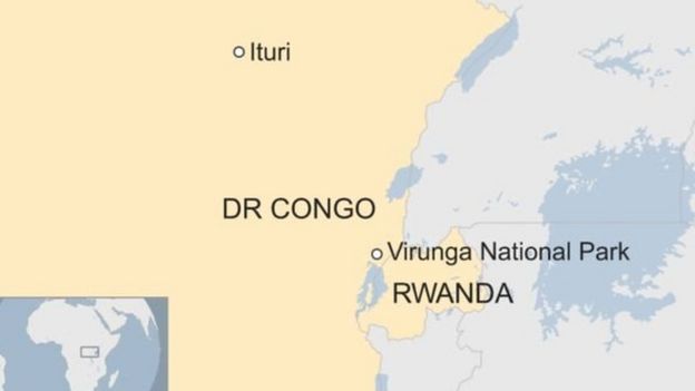 Mbuga ya wanyama pori ya Virunga DR Congo