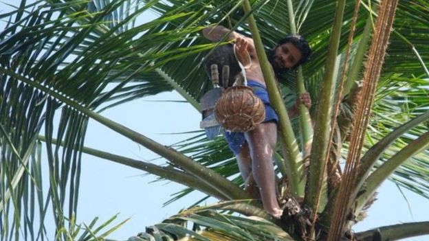 _107491007_arrack2.jpg