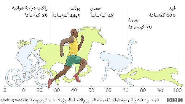 بولت