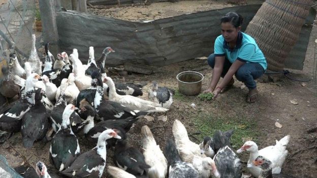 à®à®²à®à¯à®à¯ à®à®³à¯à®¨à®¾à®à¯à®à¯ à®ªà¯à®°à®¿à®²à®¿à®°à¯à®¨à¯à®¤à¯ à®®à¯à®£à¯à® à®à®°à¯ à®ªà¯à®£à¯à®£à®¿à®©à¯ à®µà¯à®±à¯à®±à®¿ à®à®¤à¯