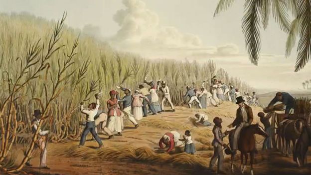 Cortando caña en Antigua, William Clark, 1823
