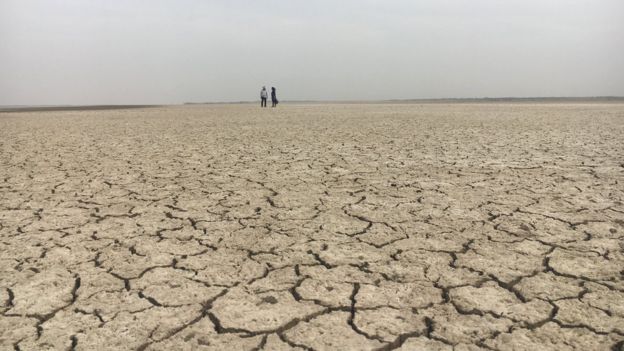 Campo seco em Gujarat