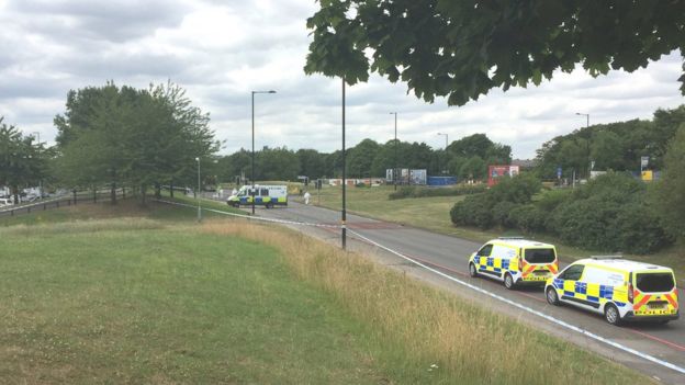 Police vehicles near the scene of the crash