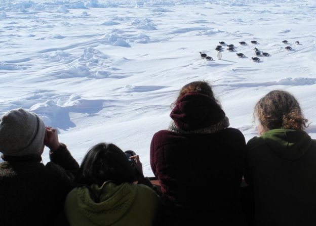 Participants will observe the effect of climate change on Antarctica