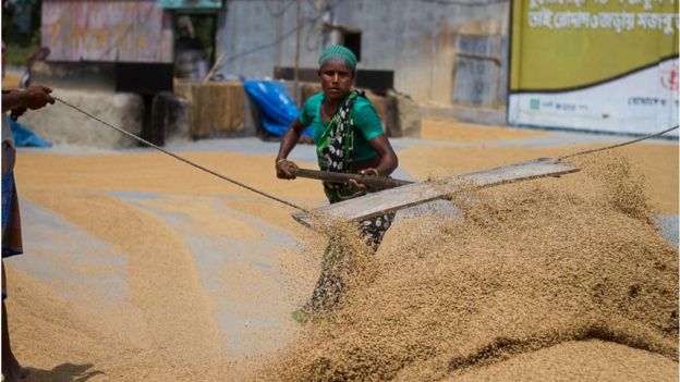 সুষ্ঠু সরবরাহ ব্যবস্থাপনা নিশ্চিত না করলে ধান কাটার মত কার্যক্রমের সুফল ভোগ করা সম্ভব হবে না বলে মনে করে
