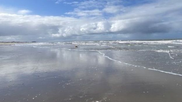 شاطئ في هولندا