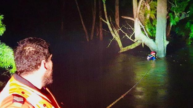 NSW SES workers use a rope to rescue a man froma treet who was stuck in floodwaters