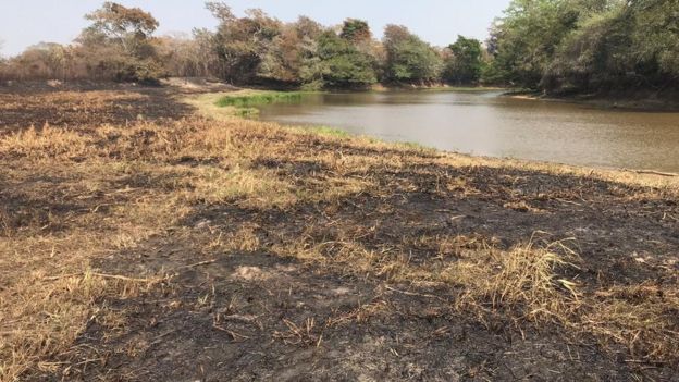 Rio abaixo da média no Pantanal e terra queimada