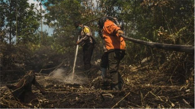 L'Indonésie a travaillé dur pour empêcher que les incendies de forêt ne détruisent ses ressources forestières.